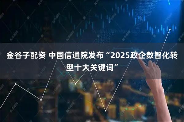 金谷子配资 中国信通院发布“2025政企数智化转型十大关键词”