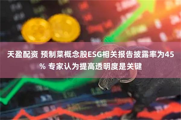 天盈配资 预制菜概念股ESG相关报告披露率为45% 专家认为提高透明度是关键